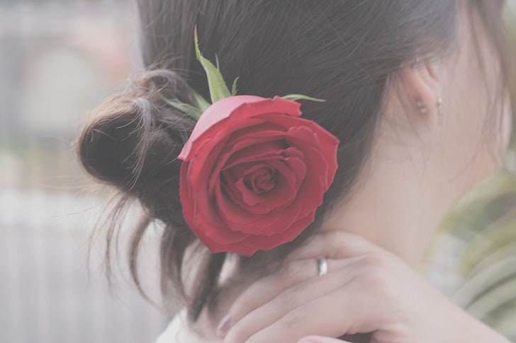 red rose, flower, girl, mood, hair, rose, brunette, hairstyle, the back of the head, HD wallpaper