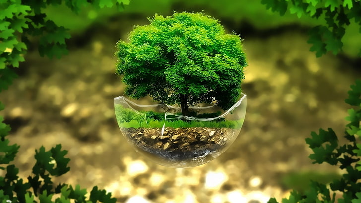 green leaf tree, nature, green, leaves, plants, digital art, floating island, trees, glass, broken, sphere, grass, rock, HD wallpaper