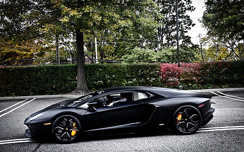 черный спортивный купе, Lamborghini Aventador, суперкар, Lamborghini, HD обои HD wallpaper