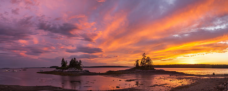 silhouette of tree on sea shore during sunset, Sunset, silhouette, tree, sea shore, Harpswell  Maine, nature, dusk, sea, sky, landscape, beach, summer, HD wallpaper