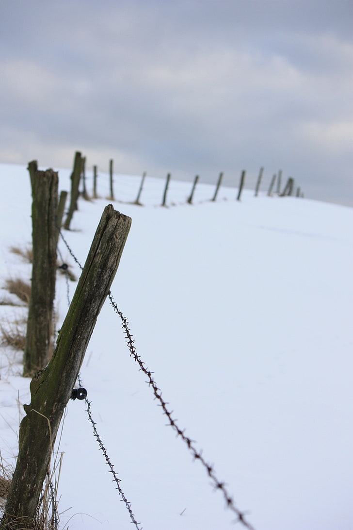 portrait display fence snow depth of field, HD wallpaper