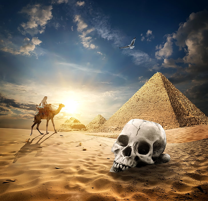 пясък, небето, слънцето, облаци, птица, пустиня, череп, камила, Египет, пирамида, бедуин, номад, Кайро, HD тапет
