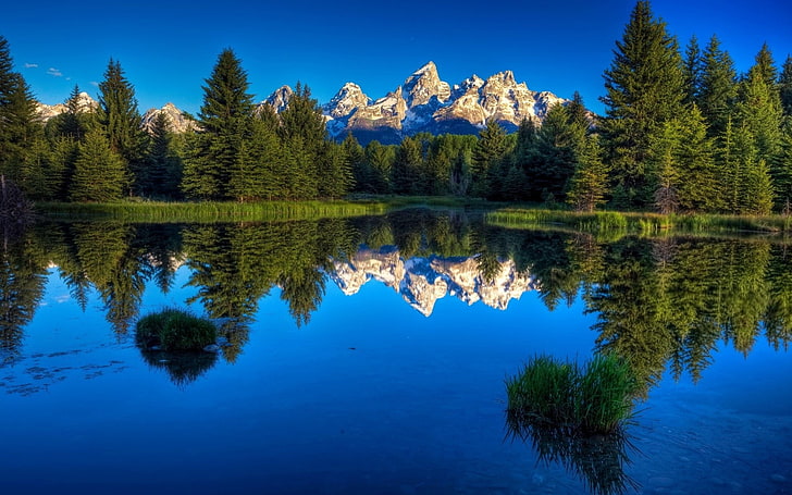 ภาพวาดต้นไม้สีฟ้าและสีเขียวธรรมชาติภูมิทัศน์น้ำป่าภูเขาภาพสะท้อน, วอลล์เปเปอร์ HD