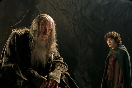 Władca Pierścieni, Władca Pierścieni: Drużyna Pierścienia, Elijah Wood, Frodo Baggins, Gandalf, Ian McKellen, Tapety HD HD wallpaper