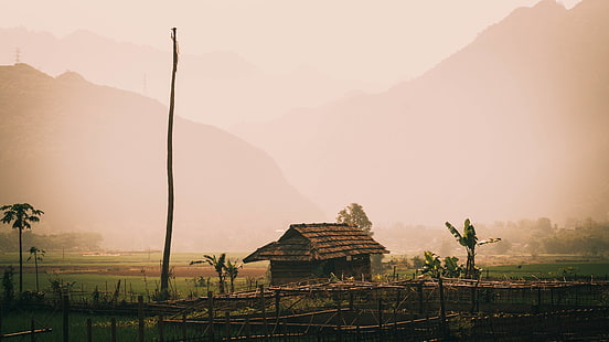 brown barn house, jungle, palm trees, Vietnam, straw, hut, bamboo, rice paddy, mountains, nature, Asia, HD wallpaper HD wallpaper