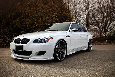 silber BMW E60 Limousine, weiß, Bäume, Tuning, BMW, Limousine, e60, HD-Hintergrundbild HD wallpaper