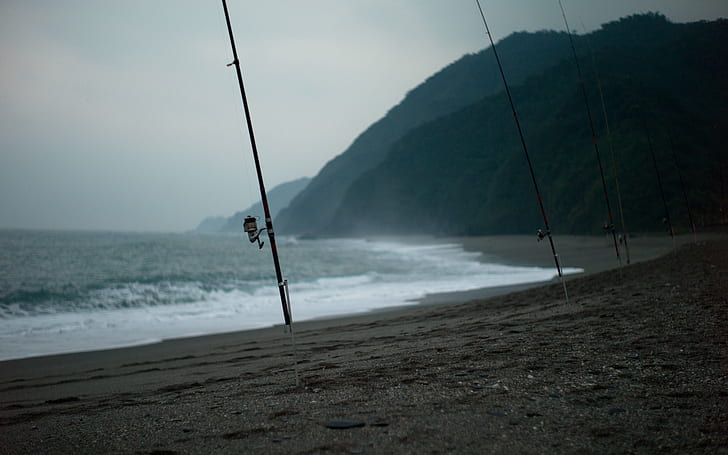 sea, fishing, fishing rods, HD wallpaper