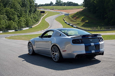 бял Ford Mustang GT, Ford Mustang, мускулни коли, кола, превозно средство, сребърни автомобили, път, HD тапет HD wallpaper