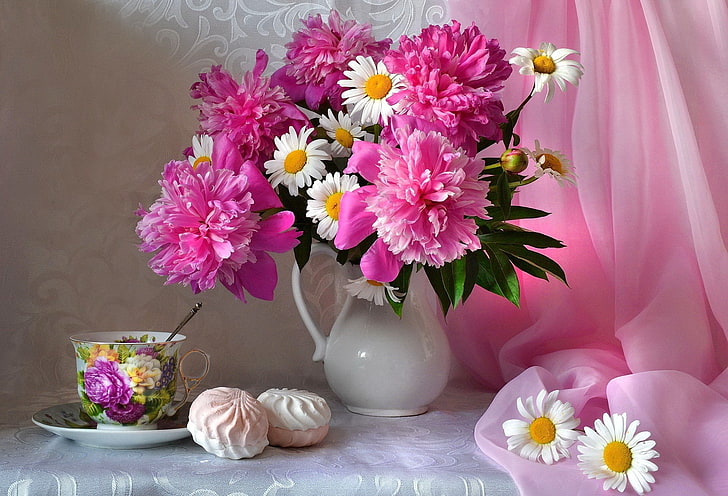 Фотография, Натюрморт, бисквитка, чаша, маргаритка, цвете, божур, розово цвете, шал, бяло цвете, HD тапет