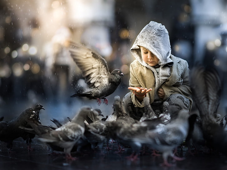 little boy, birds, HD wallpaper