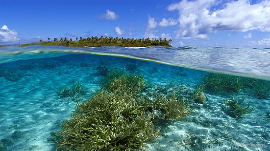 Atollo di Ailuk, Isole Marshall, Ocean Life, Sfondo HD HD wallpaper