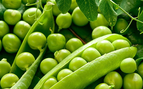 Gemüse Erbsen Breite Auflösung, Lebensmittel, Erbsen, Auflösung, Gemüse, breit, HD-Hintergrundbild HD wallpaper
