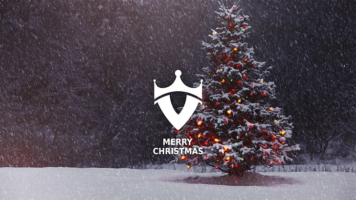 albero di pino con sovrapposizione di testo di buon Natale, Natale, neve, albero di Natale, Sfondo HD