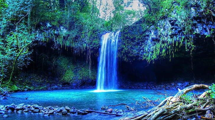 Maui, waterfall, beach, palm trees, isle of Maui, Hawaii, tropical forest, tropical water, HD wallpaper