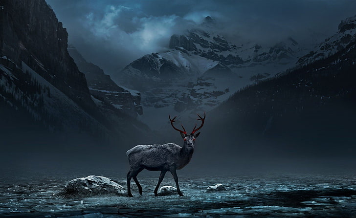 rusa abu-abu, alam, hewan, rusa, gunung, mata merah, seni digital, pohon, hutan, awan, malam, Wallpaper HD