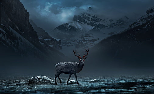 gray deer, nature, animals, deer, mountains, red eyes, digital art, trees, forest, clouds, night, HD wallpaper HD wallpaper