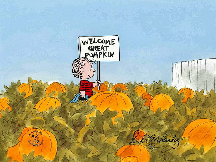 Pumpkin Patch Halloween Autumn Peanuts Magazine, halloween, jesień, magazyn, łatka, orzeszki ziemne, dynia, Tapety HD