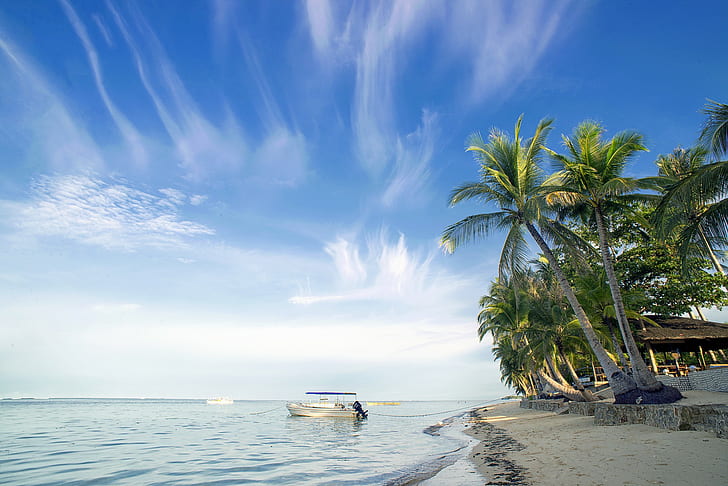 Łodzie w oceanie, zielone palmy i biała łódź, plaża, ocean, palmy, łodzie, Tapety HD