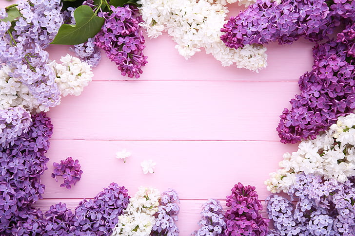 Blumen, Hintergrund, Holz, Flieder, lila, HD-Hintergrundbild