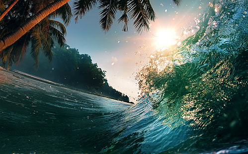 4к, океан, 5к, 8к, волна, солнце, пальмы, HD обои HD wallpaper