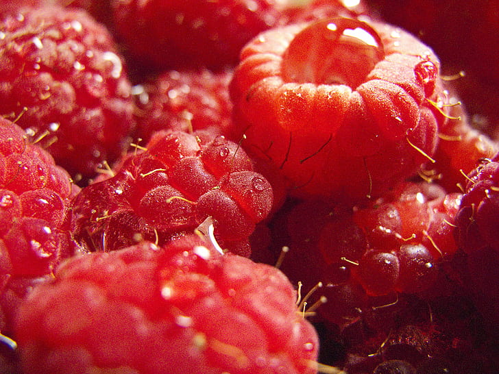 red fruits, Wet, Raspberries, raspberry, red  fruit, berry, berries, closeup, macro, dew, droplets, drops, water, moisture, down, angle, nobody, shadows, Bodden, Rayburn, summer  time, summertime, Creative  Commons  attribution  license, Ray, Flickr, Canon, G10, extreme, fruit, food, freshness, red, ripe, berry Fruit, dessert, sweet Food, organic, close-up, healthy Eating, nature, gourmet, refreshment, summer, vegetarian Food, HD wallpaper