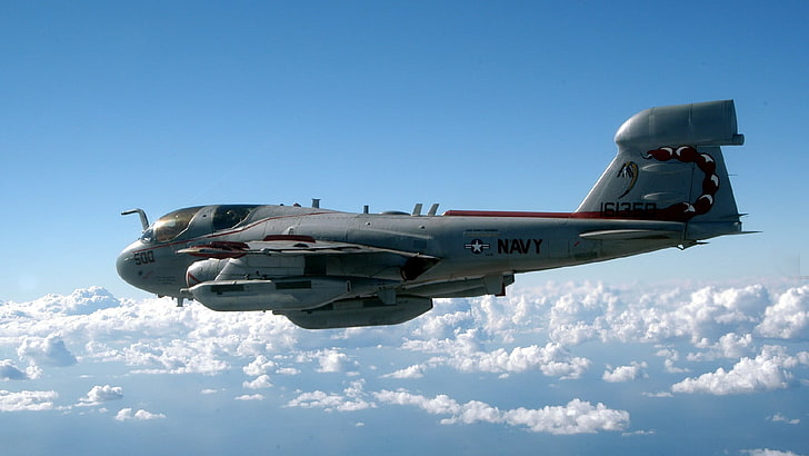 رف سقف السيارة باللونين الأسود والرمادي ، طائرة مقاتلة ، Northrop Grumman EA-6B Prowler ، عسكري ، بحرية الولايات المتحدة، خلفية HD