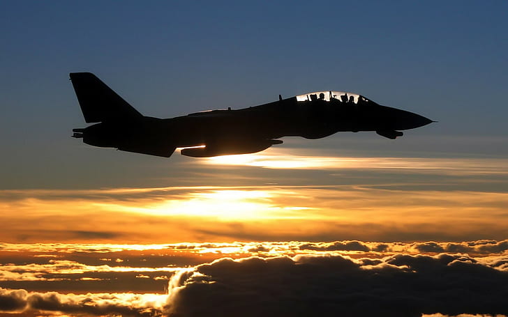 samolot, zachód słońca, Grumman F-14 Tomcat, sylwetka, chmury, F-14 Tomcat, samolot, samoloty wojskowe, wojskowe, pojazd, Tapety HD
