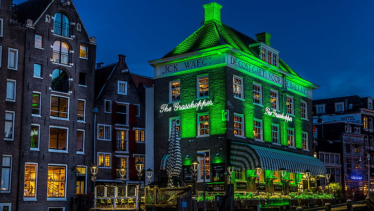amsterdam, landmark, pub, city, night, the grasshopper, building, cityscape, netherlands, neighbourhood, house, evening, sky, europe, green lights, green house, HD wallpaper