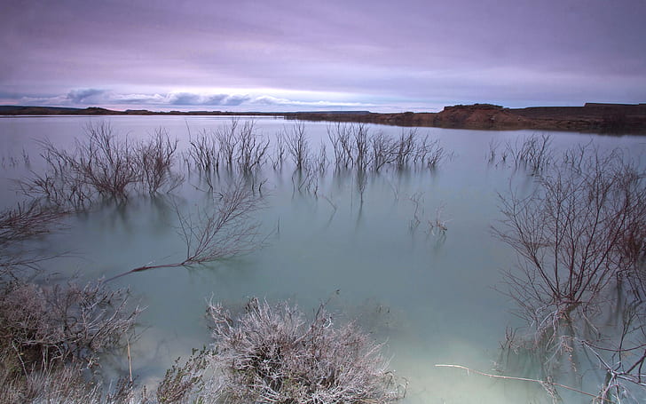 호수 HD, 자연, 호수, HD 배경 화면