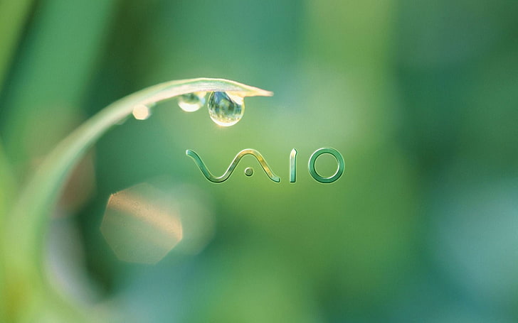 Sony VAIO logo, vaio, фирма, капли, роса, HD обои