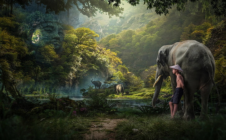 floresta, menino, selva, elefantes, HD papel de parede