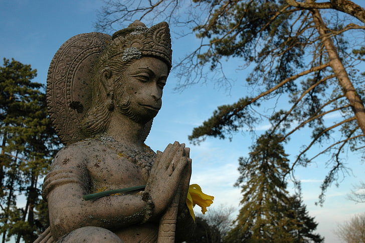 Хануман, статуя на лорд Хануман, Бог, лорд Хануман, цвете, жълто, хануман, лорд, HD тапет