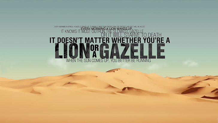 quote, desert, lion, HD wallpaper