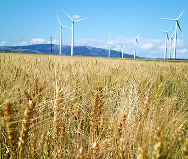 草の近くの風車、風力農業、風車、草、INL、アイダホ国立研究所、プログラム、風力タービン、マイクログリッド、風力発電所、エネルギーセキュリティ、風力エネルギー、タービン、風力タービン、環境、自然、燃料および発電、電気、技術、風力、エネルギー、発電機、産業、環境保全、空、代替エネルギー、電力、フィールド、農場、風力、電力供給、景観、プロペラ、回転、 HDデスクトップの壁紙 HD wallpaper