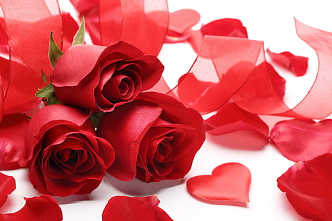 Pétalos Flores, flores, rosas, rosas rojas, pétalos, corazón, Fondo de pantalla HD HD wallpaper