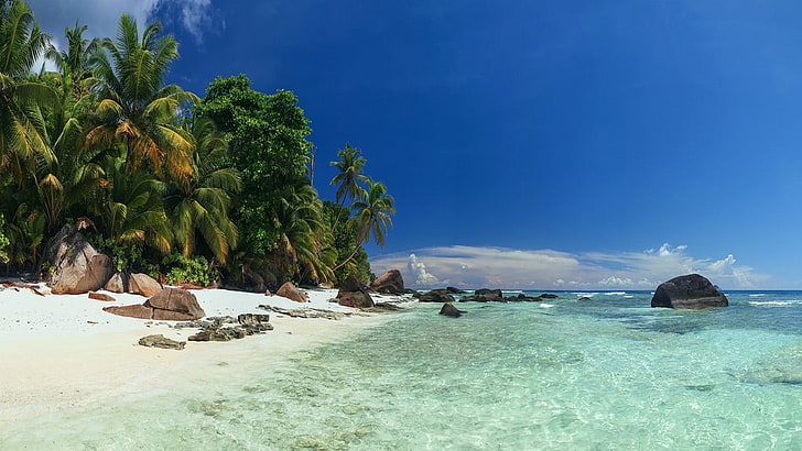 човек, показващ плаж през деня, пейзаж, плаж, природа, палми, море, остров, Сейшелски острови, пясък, тропически, лято, скала, вода, ваканция, облаци, HD тапет