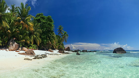човек, показващ плаж през деня, пейзаж, плаж, природа, палми, море, остров, Сейшелски острови, пясък, тропически, лято, скала, вода, ваканция, облаци, HD тапет HD wallpaper
