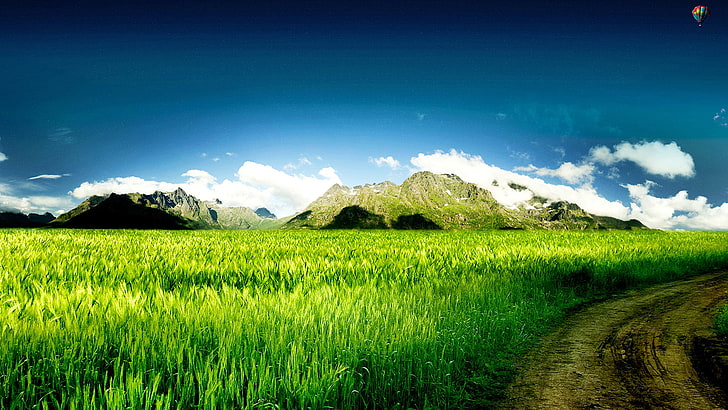 Nature, grassland, grass, landscape, field, rural, meadow, sky, summer, HD  wallpaper | Wallpaperbetter