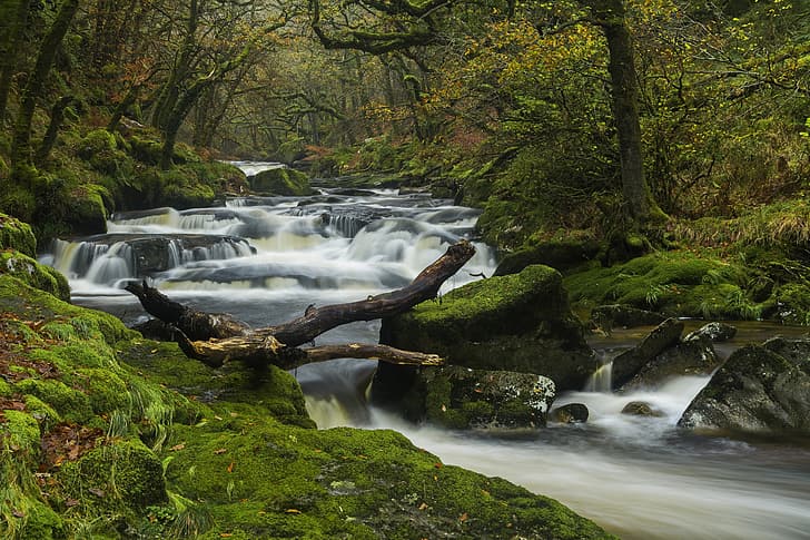 осень, лес, деревья, река, англия, мох, девон, пороги, Dartmoor National Park, HD обои