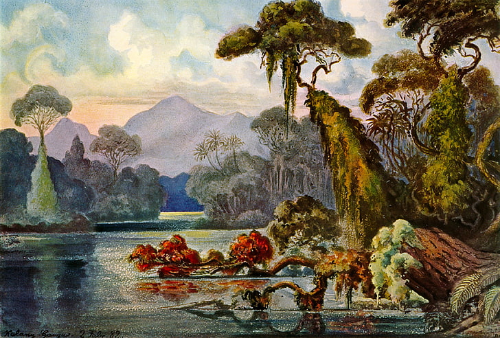 Ilustración de árboles verdes, Ernst Haeckel, Ceilán, selva, arte, litografía, Fondo de pantalla HD