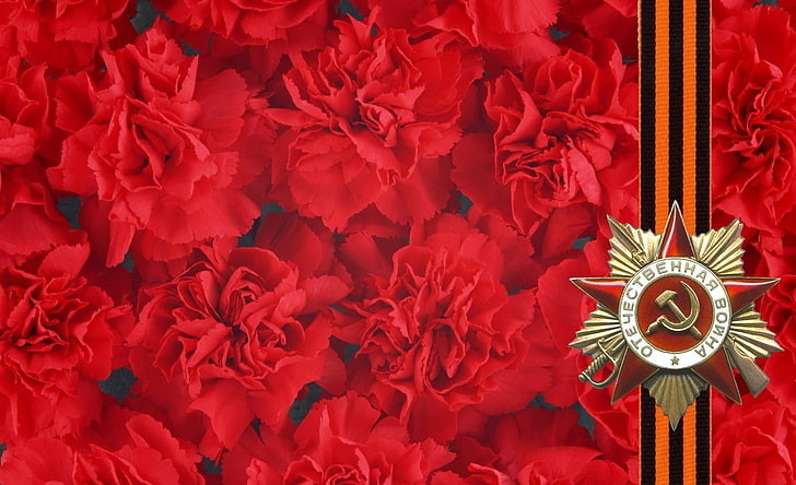 червени цветя илюстрация, 9 май, празник, победа, карамфил, панделка St George, памет, звезда, HD тапет