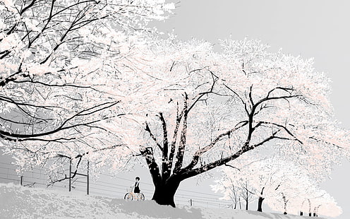 flor de cerejeira, japão, brilhante, branco, árvores, HD papel de parede HD wallpaper