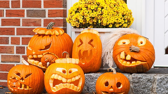 тыква, празднование, овощной, тыква, производить, еда, Хэллоуин, осень, оранжевый, осень, тыквы, октябрь, день благодарения, урожай, праздник, завод, сезонный, тыква, сезон, украшение, желтый, HD обои HD wallpaper