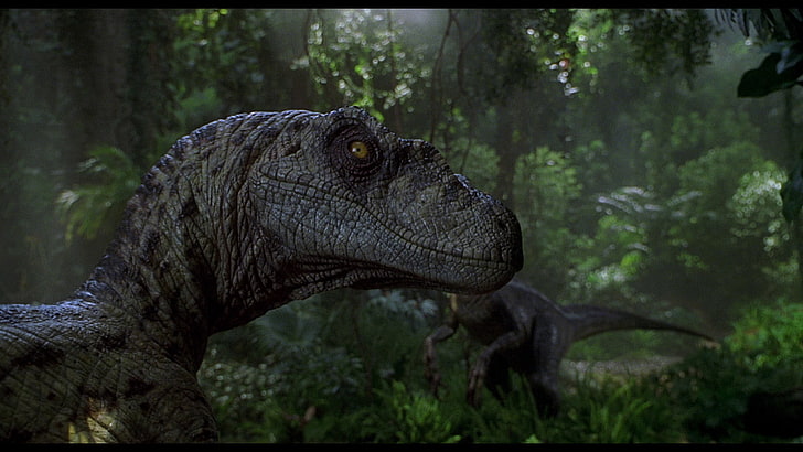 Jurassic Park, Parque Jurássico III, Velociraptor, HD papel de parede