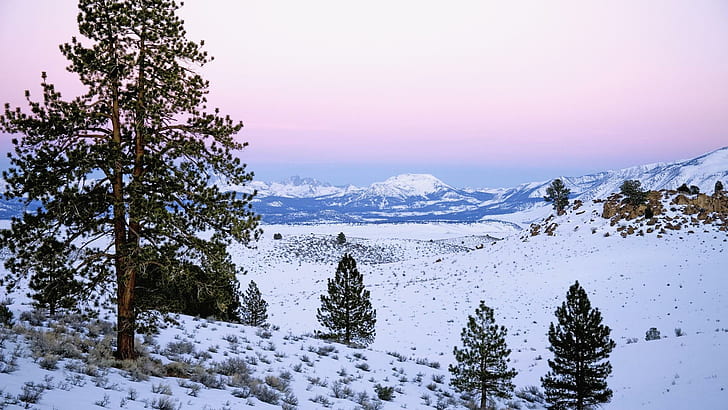 Serra Nevada, foto do campo de neve, natureza, 1920x1080, montanha, califórnia, serra nevada, HD papel de parede