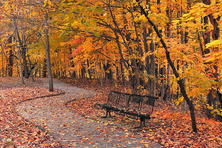 Bench Park Autumn, baja hitam bangku empat tempat duduk, kota, musim gugur, bangku, Taman, Wallpaper HD