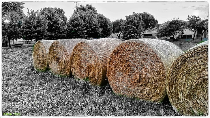 panoramas, haystacks, HD wallpaper