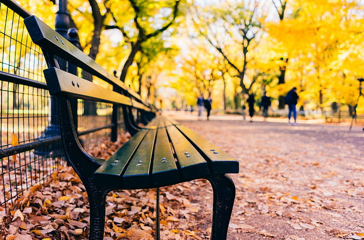 close up photography of metal bench, central park, central park, Words, beautiful, central park, close up photography, metal, bench, Autumn, Manhattan, NYC  New York, New York City, fall, nature, trees, leaves, leaf, park - Man Made Space, outdoors, yellow, tree, season, orange Color, october, HD wallpaper