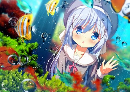 gadis anime, loli, Gochuumon wa Usagi Desu ka ?, Kafuu Chino, mata biru, Wallpaper HD HD wallpaper