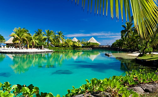 Tropical Island Swimming Pool Resort, spiaggia e capanne, stagioni, estate, Sfondo HD HD wallpaper